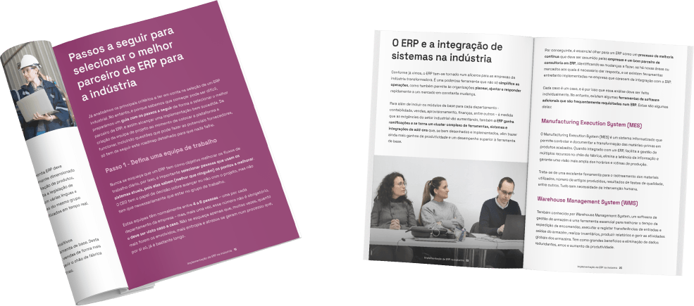 ebook-erp-industria-paginas