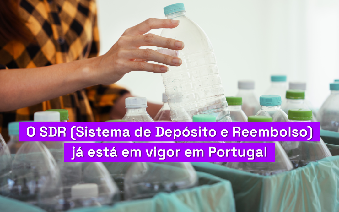 SDR: O que é o Sistema de Depósito e Reembolso e como preparar a sua empresa