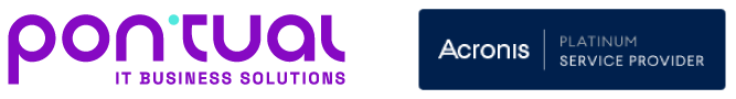 Logo Pontual - IT Business Solutions